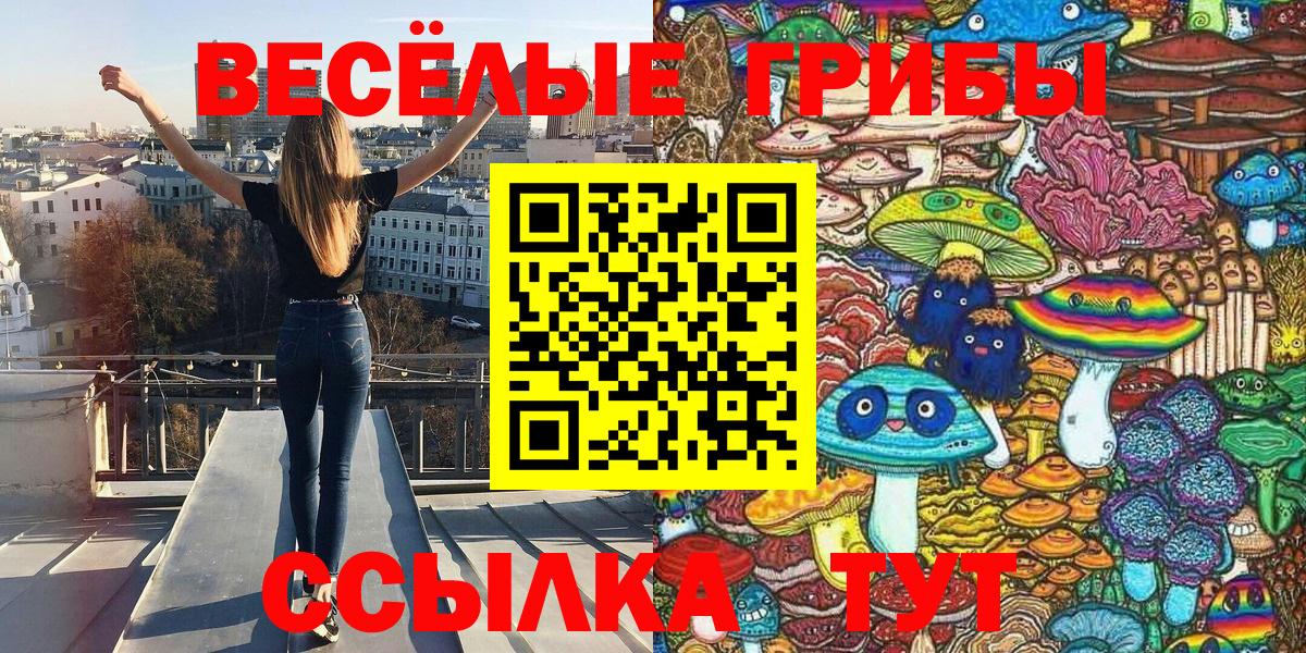 Галлюциногенные грибы Psilocybe Салават